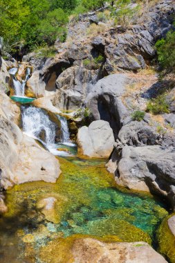 Sapadere kanyonu ve şelale, Alanya hindisi
