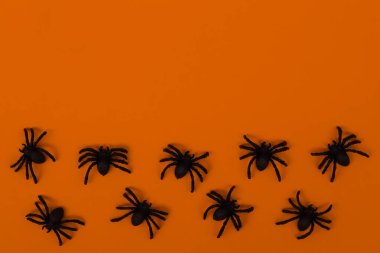 Cadılar Bayramı dekorasyon konsepti. Turuncu arka planda örümceklerle Cadılar Bayramı. Düz konum, üst görünüm, kopyalama alanı
