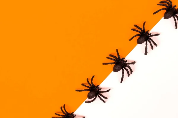 Halloween Dekorationer Koncept Halloween Med Spindlar Orange Och Vit Bakgrund — Stockfoto