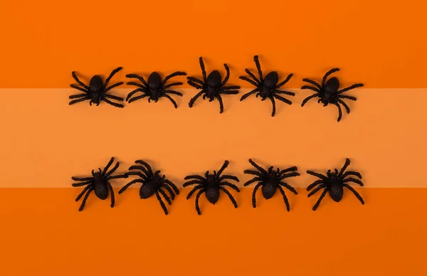 橙色背景上黑色蜘蛛的矩形框架 顶部视图 平躺在床上万圣节快乐创意的概念 度假卡被嘲笑了 — 图库照片