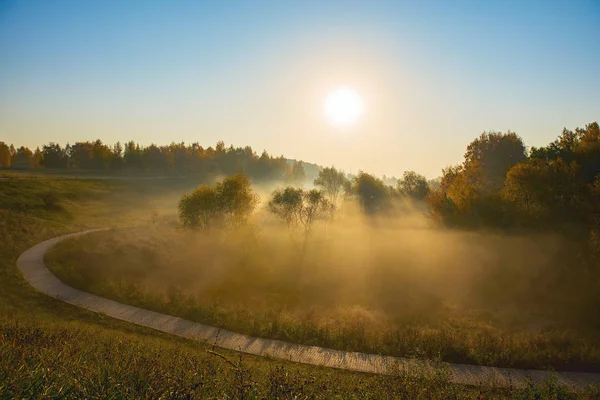 Sunrise in the city park