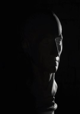 Beyaz baş alçı. Sezar