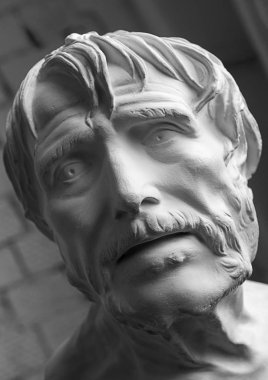 Beyaz baş alçı. Seneca