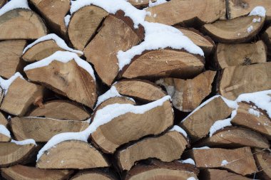 Kar altında odun kıyılmış stokunun
