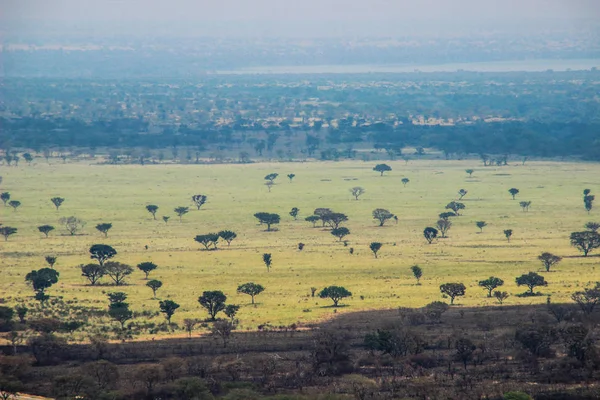 Büyük Afrika rift Uganda