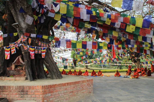 Lumbini Nepal Abril 2014 Una Reunión Monjes Árbol Sagrado Lumbini — Foto de Stock