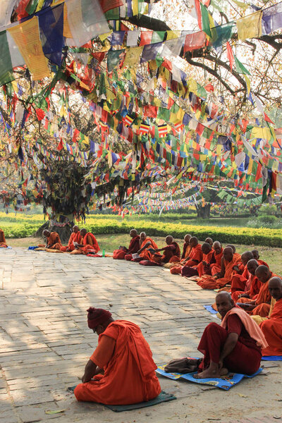 Lumbini, Nepal - April 7, 2014: A meeting of monks at the holy tree in Lumbini - the birthplace of Lord Buddha