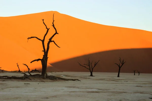 Vlei Morto Parte Sul Deserto Namib Parque Nacional Namib Nacluft — Fotografia de Stock