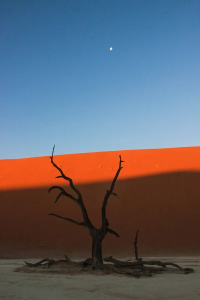 Dead Vlei Южной Части Пустыни Намиб Национальном Парке Намиб Наклуфт — стоковое фото