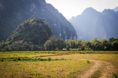 Pitoresk sahne içinde köyü Vang Vieng, Laos Mekong Nehri vadisinde. Pirinç tarlaları