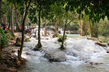 Kuang Si Falls, Laos - 3 Mart 2016: Luang Prabang, Laos yukarıda şelaleler Yüzme