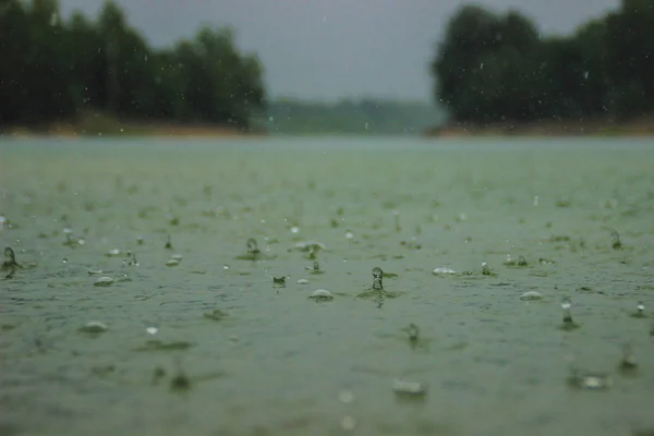 Βροχόπτωσης Στη Λίμνη Καλοκαίρι Σταγόνες Νερού Αφρού Στη Δυνατή Βροχή — Φωτογραφία Αρχείου