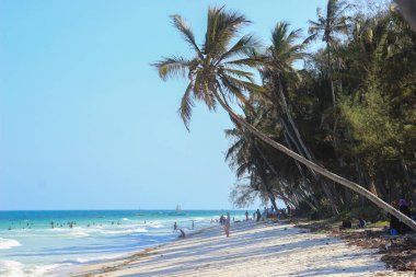 Mombasa, Kenya - 21 Aralık 2015: Diani Beach Indian Ocean Beach - palmiye ağaçları, Turkuaz su ve beyaz kum