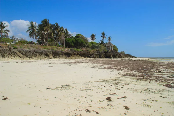 Lågvatten Diani Beach Kusten Indiska Oceanen Kenya Afrika — Stockfoto