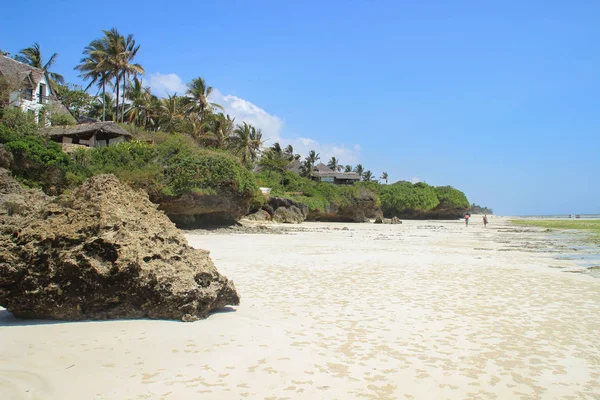 Kusten Indiska Oceanen Lågvatten Vit Sand Och Palm Träd Stranden — Stockfoto