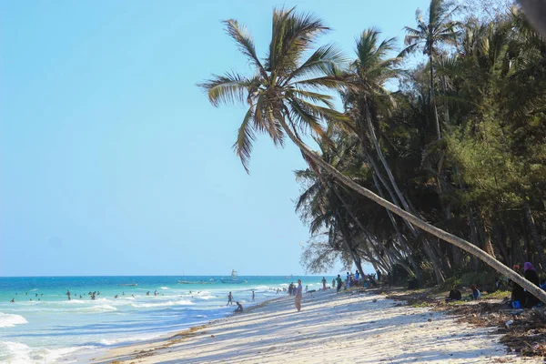 Mombasa Kenya Den December 2015 Diani Beach Indian Ocean Beach — Stockfoto