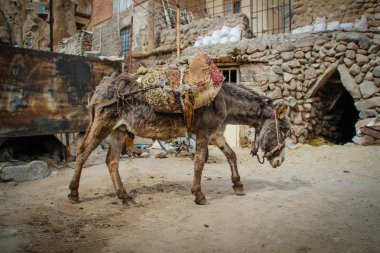 Eşek kargo antik taş köy, Kandovan üzerinde Tabriz taşır. İran