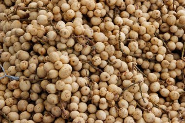 Asya pazarı durak üzerinde birçok küçük longan meyve vardır