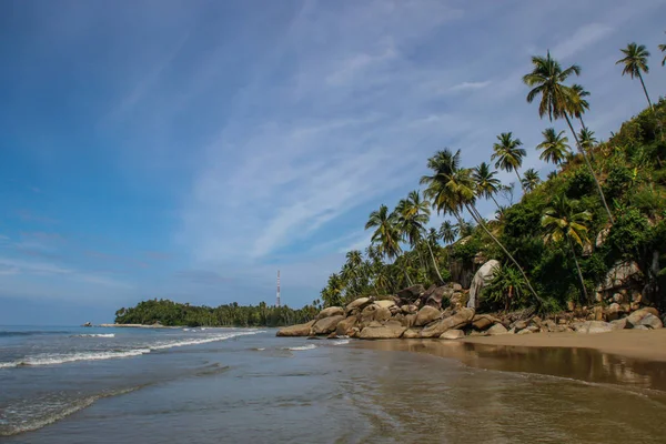 Palmeras Coco Orilla Del Océano Índico Día Brillante Playa Paradise —  Fotos de Stock