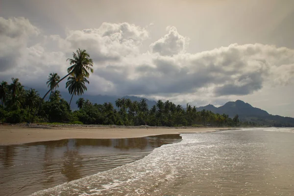 Kokospalmer Stranden Indiska Oceanen Dag Paradise Beach — Stockfoto