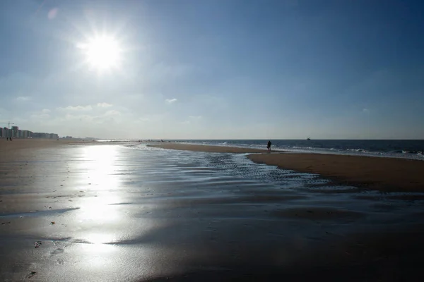 Sol Ilumina Playa Desierta Del Frío Mar Del Norte Bélgica —  Fotos de Stock