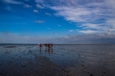 Terschelling, Hollanda - 8 Eylül 2018: Turist bir grup deniz dibinin düşük tide, Hollanda'dan adaya güzel parlak güneşli bir mavi gökyüzü ile yürür