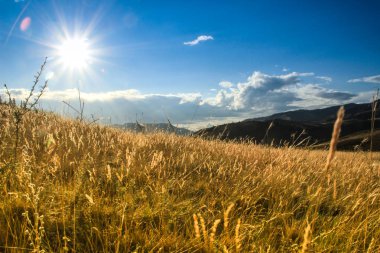 Günbatımı ve gündoğumu çimen dağlarında güzel parlak sarı zemin üzerinde