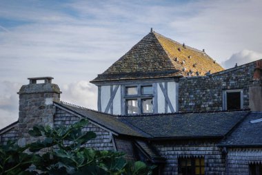 Ortaçağ taş evler ve çatıda, kasaba Saint Michel manastırda Fransız Normandy martılar