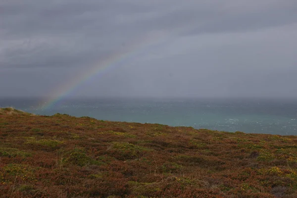 Yellow northern plants, rainbows and the Celtic Sea in French Brittany