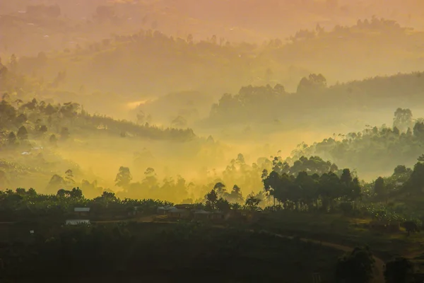 Gentle yellow light and light mist over the hills in country side with traditional houses and the tropical nature of Uganda on the border with the Congo at dawn