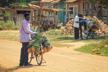 Jinja, Uganda - 28 Ocak 2015: Bir rustik hareket eden çarşı - bir satıcı doğrudan gelen Bisiklet taze ve olgun sarı ananas satıyor