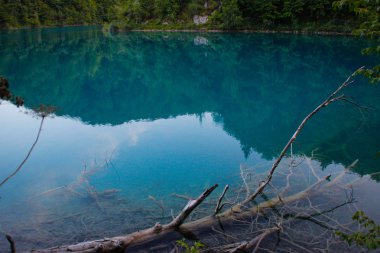 Hırvatistan'ın ana doğal dönüm noktası Plitvice Gölleri şelaleler KADEMELI olduğunu. Kaya, bitkiler ve ağaçlar arka plan üzerine zümrüt açık soğuk su.