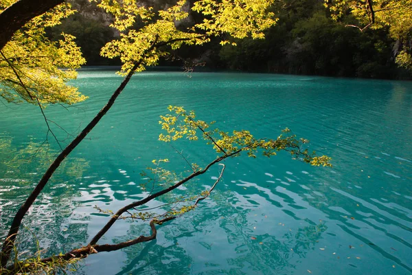 Main Natural Landmark Croatia Plitvice Lakes Cascades Waterfalls Emerald Clear — Stock Photo, Image