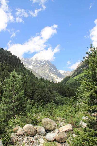 Scatto Verticale Del Monte Ushba Svaneti Georgia Cima Innevata Della — Foto Stock