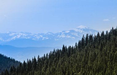 Yeşil dağların Karpatlar gün açık yaz panoraması.