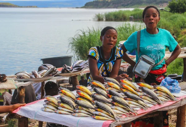 Mpulungu, Zambiya - 27 Mart 2015: Afrikalı kadınlar semt pazarı tezgahın üzerine taze balık satmak.