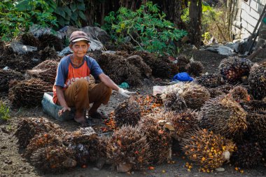 Medan, Sumatra - 15 Ocak 2018: Bir kadın nerede palm yağı palmiye ağacı meyvelerden yapılmış küçük bir çiftlikte çalışıyor Endonezya.
