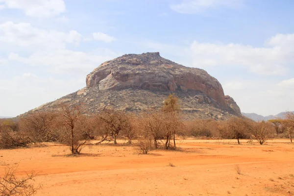 African dry hot savanna with dried plants and mountains in the background