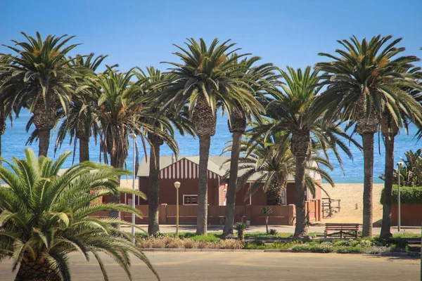 Swakopmund Namíbia 2015 Április Egy Régi Német Épület Pálmafákkal Körülvett — Stock Fotó