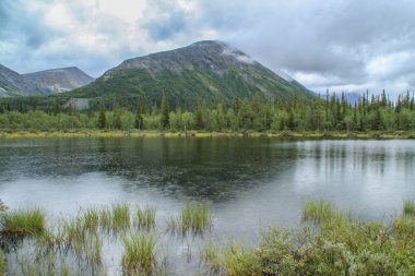Güzel Soğuk Kuzey Doğa: dağlar, taşlar, kayalar ve ağaçları ve yosun çevrili bir göl. Khibiny dağlar Rus bölgesinde Karelya.