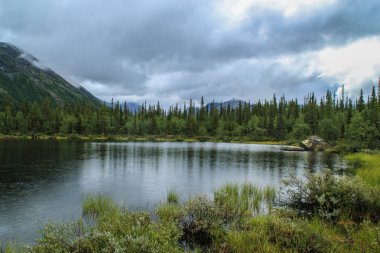 Güzel Soğuk Kuzey Doğa: dağlar, taşlar, kayalar ve ağaçları ve yosun çevrili bir göl. Khibiny dağlar Rus bölgesinde Karelya.