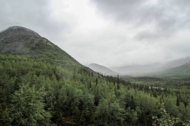 Güzel Soğuk Kuzey Doğa: ağaç ve kayaların altında ağır bulutlu gökyüzü bulutlu