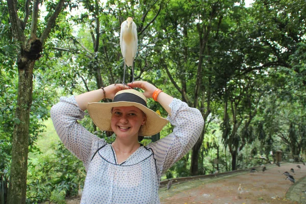 白衣女孩的帽子牛白鹭站在谁是苍鹭家族中最多的鸟 生活在热带地区 亚热带地区 — 图库照片