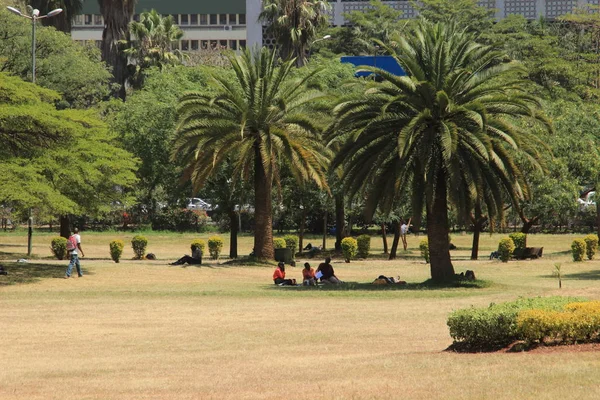 Найробі Кенія Січня 2015 Парк Пальмами Центрі Міста Людей Пікнік — стокове фото