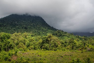 Tropik fırtına. Dağ ve orman üzerinde asılı fırtına kara bulut