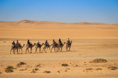 Sossusvlei, Namibya - 28 Nisan 2015: Namibya'daki Namib-Nacluft Milli Parkı'nda, Namib Çölü'nde gün batımında dünyanın en yüksek kum tepeleri. Develi insanlar çölü geçer.