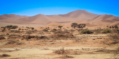 Namibya'daki Namib-Nacluft Milli Parkı'nda, Namib Çölü'nde gün batımında dünyanın en yüksek kum tepeleri. Sossusvlei