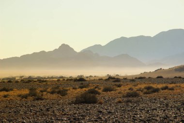 Namibya'nın güneyinde dağlarla çöl manzaraları. Kurak mevsim, kuru bitki örtüsü doğal bir arka plan.
