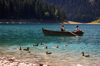 Durmitor, Karadağ - 12 Ağustos 2017: Karadağ'daki Durmitor milli parkının cennet manzarası. Gölün turkuaz suyu, çam ormanı ve dağlar. Doğa ve ördekler ve aşıklar ile bir tekne ile çarpıcı arka plan