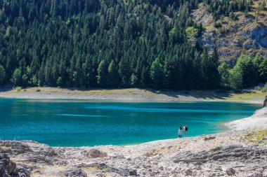 Durmitor, Karadağ - 12 Ağustos 2017: Karadağ'daki Durmitor milli parkının cennet manzarası. Gölün turkuaz suyu, çam ormanı ve dağlar. Doğa ile çarpıcı arka plan.